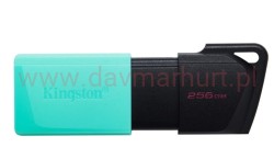 Pendrive Kingston 256GB
